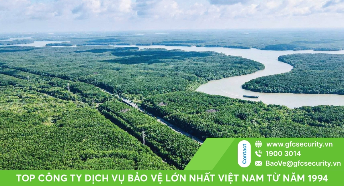 công ty bảo vệ huyện cần giờ gfc security