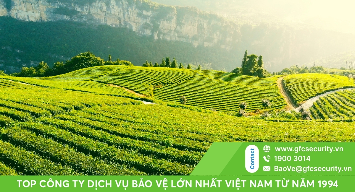 Công ty bảo vệ Thái Nguyên GFC Security